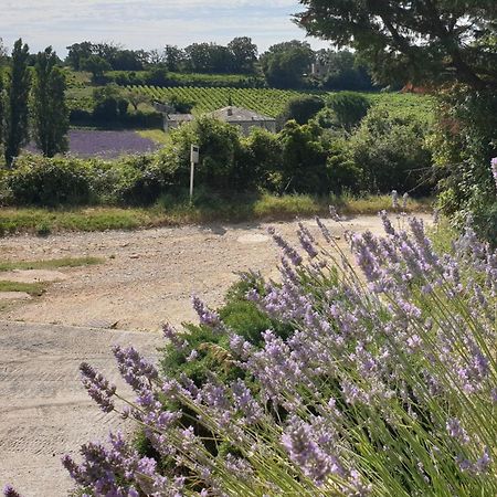 Le Clos Du Grand Chene - Gites 4 Etoiles - Saint-Marcel-d'Ardeche Zewnętrze zdjęcie