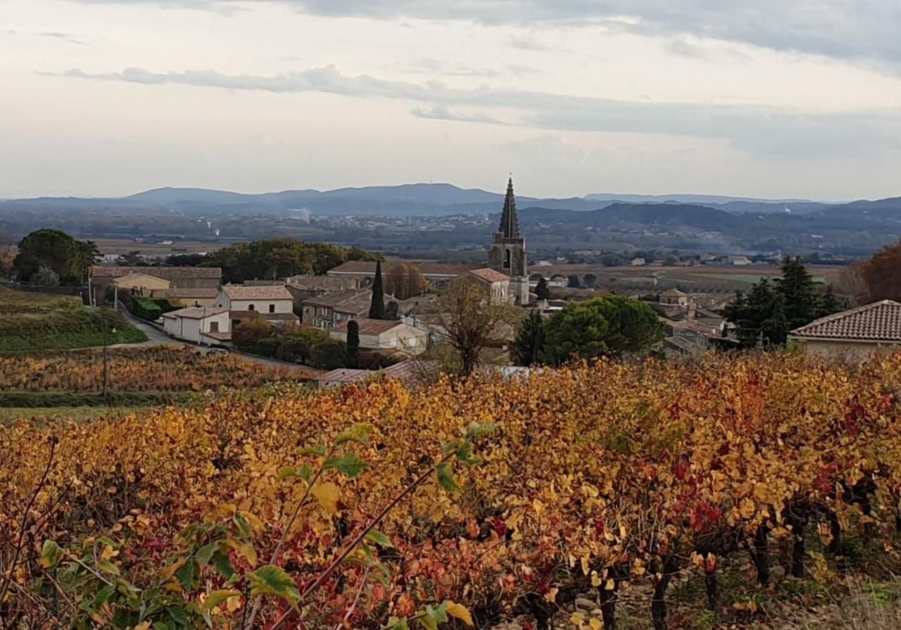 Le Clos Du Grand Chene - Gites 4 Etoiles - Saint-Marcel-d'Ardeche Zewnętrze zdjęcie